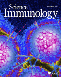 Immunology Image 1
